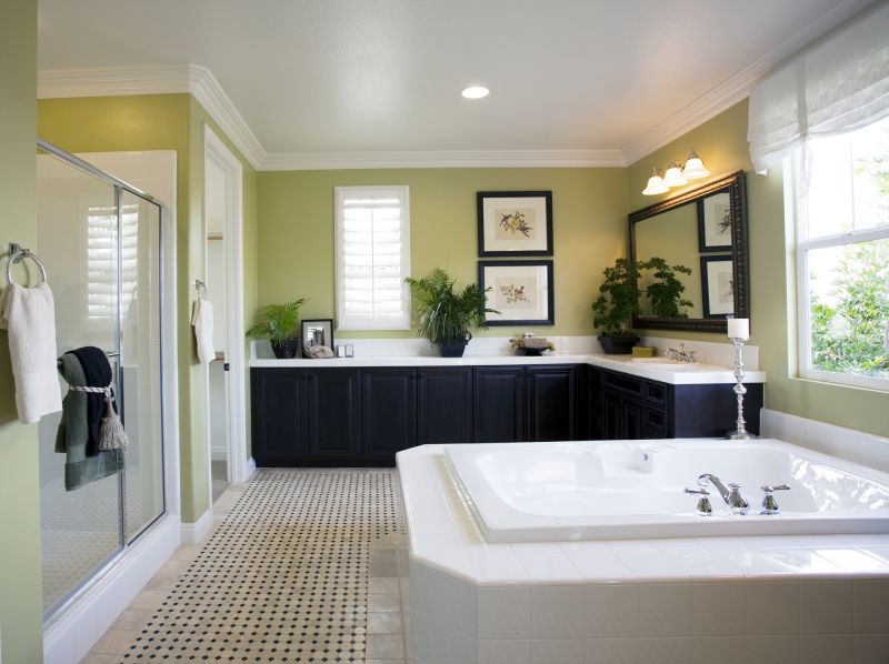 Bathtub Conversion Projects